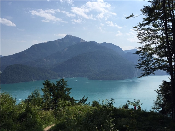 余教授奧地利鄉(xiāng)村行：萬(wàn)科為什么說(shuō)把奧地利小鎮(zhèn)搬回來(lái)？