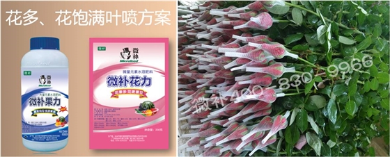 花卉也需要微補嗎？