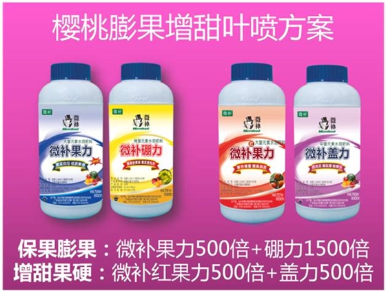 櫻桃用什么葉面肥？
