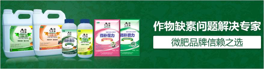 #微肥課堂#為什么葉面肥養(yǎng)分含量相同，效果卻不同？
