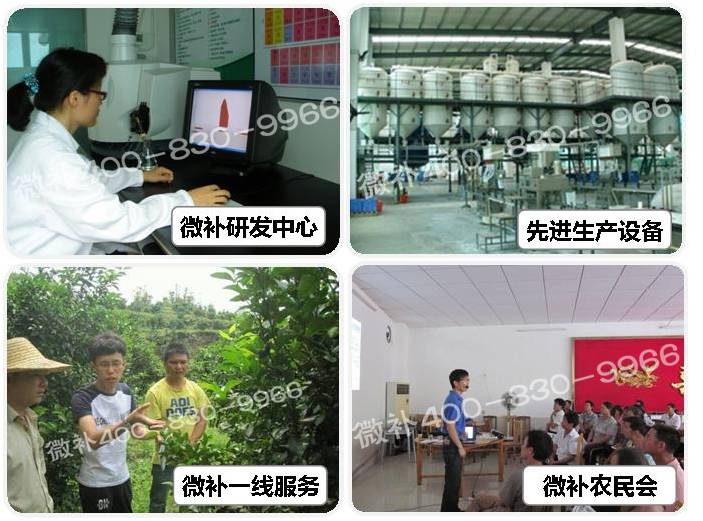 余教授德國鄉(xiāng)村行：住德國農舍的度假體驗