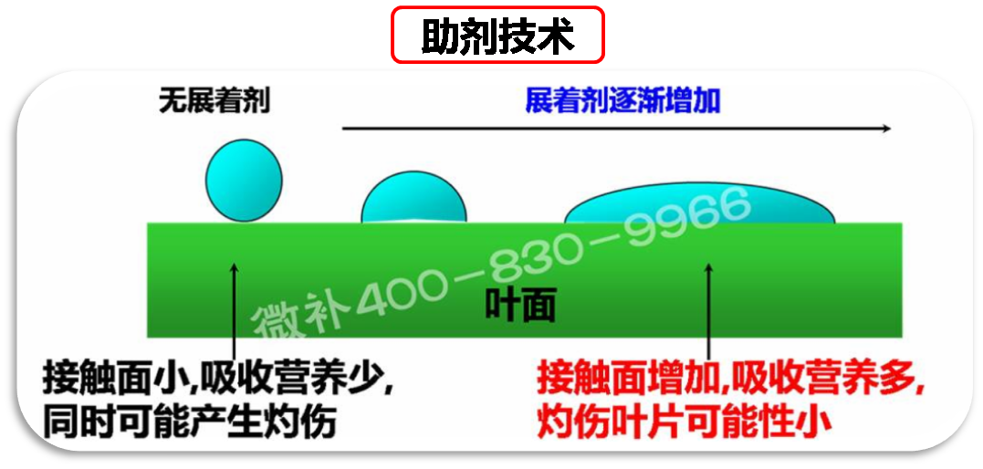 余教授德國(guó)鄉(xiāng)村行：我在德國(guó)為什么不會(huì)點(diǎn)啤酒了？