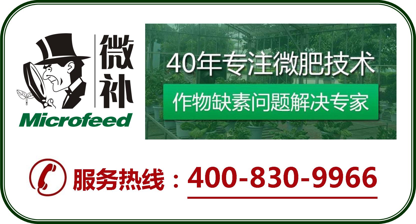 余教授德國鄉(xiāng)村行：摩澤爾河的葡萄魅力在哪兒？