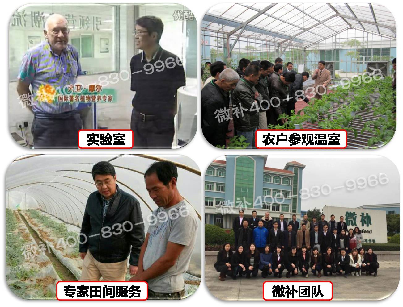 余教授奧地利維也納行：不懂音樂的農(nóng)民教授，在音樂之都的感受