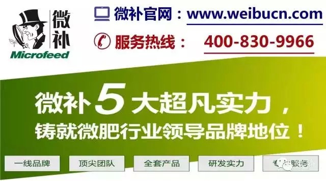 余教授奧地利維也納行：不懂音樂的農(nóng)民教授，在音樂之都的感受