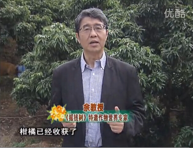 20160104珠江臺(tái)搖錢樹(shù)：防治柑橘黃樹(shù)、減少采后弱樹(shù) 撒微補(bǔ)倍力、噴碧力+壯力