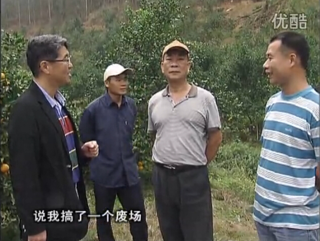 20160118珠江臺(tái)搖錢樹(shù)：貢柑用微補(bǔ)全年?duì)I養(yǎng)方案，黃樹(shù)翻身還高產(chǎn)增果