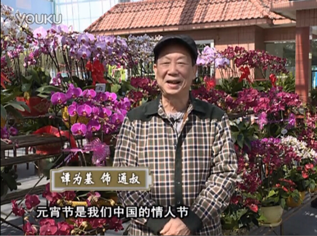 20160222珠江臺搖錢樹：用綠夫人營養(yǎng)液，簡單種花都能養(yǎng)得靚