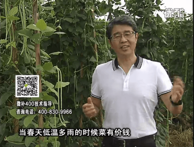 20160704珠江臺搖錢樹：蔬菜用微補(bǔ)方案，省肥藥又保產(chǎn)