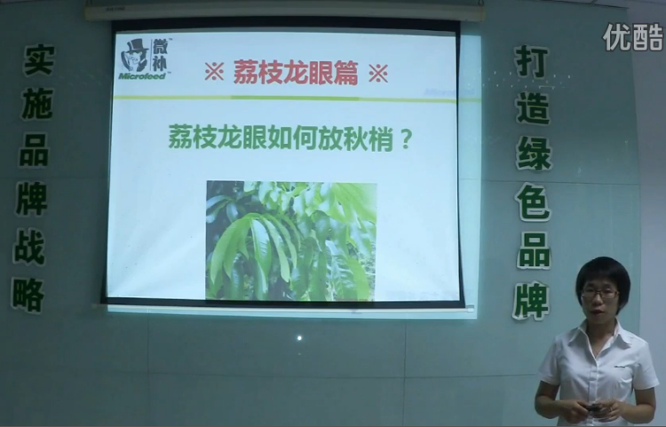 荔枝龍眼-采后樹(shù)弱、秋梢不壯怎么辦？請(qǐng)看微補(bǔ)講座