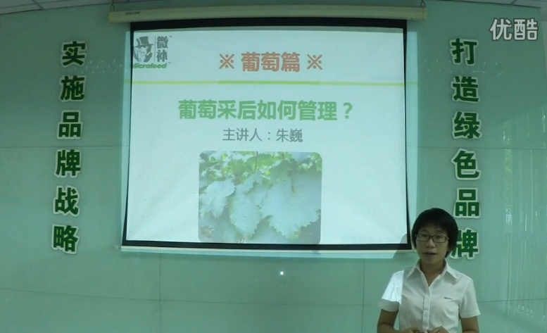 葡萄-采后恢復(fù)樹(shù)勢(shì)、來(lái)年花芽分化好.微補(bǔ)講座