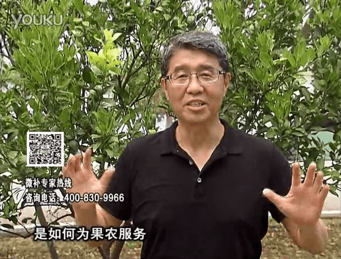 20160912珠江臺搖錢樹：針對果場面積、缺素營養(yǎng)、設(shè)施管理、投入產(chǎn)出，微補做個性化定制服務(wù)
