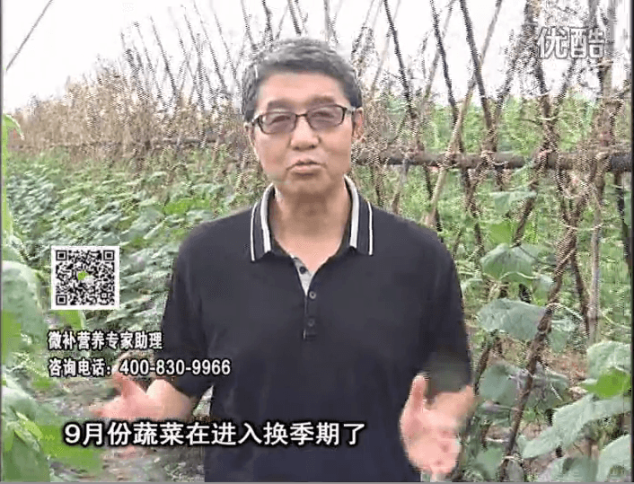 20160926珠江臺搖錢樹：換季蔬菜淋根力鈣精力促根壯長，淋微補(bǔ)調(diào)力調(diào)酸減少病害