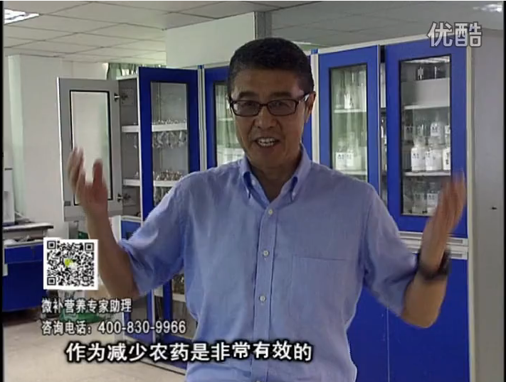 20161024珠江臺搖錢樹：種植作物調(diào)酸、平衡營養(yǎng)、提高抗病力能大大降低病害發(fā)生和農(nóng)藥使用量