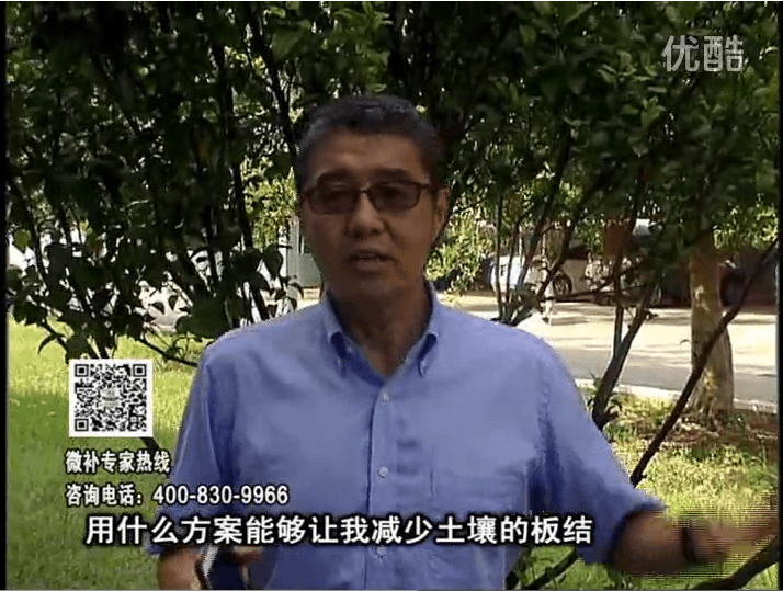 20161031珠江臺搖錢樹：減少化肥使用量、土壤少板結(jié)有辦法
